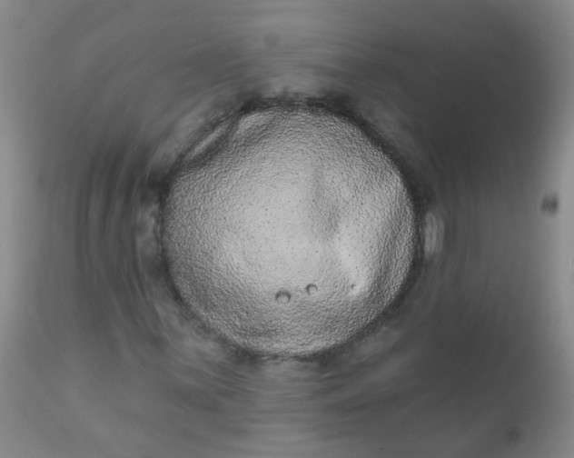 X0000110961059200907022216