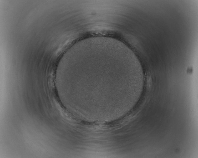 X0000110961060200907022216