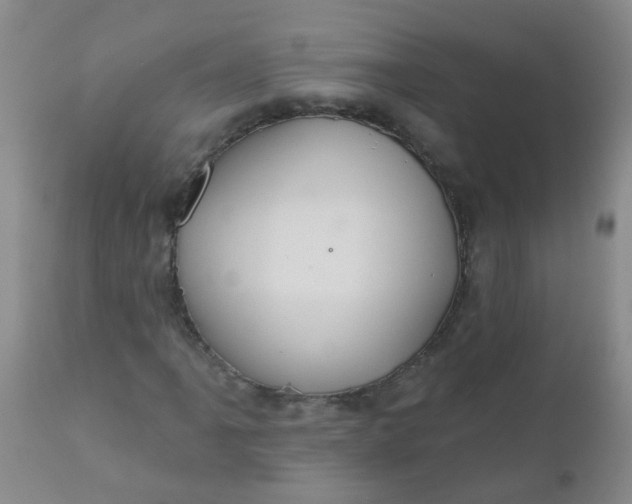 X0000110961061200907022216