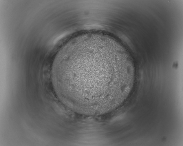 X0000110961063200907022216