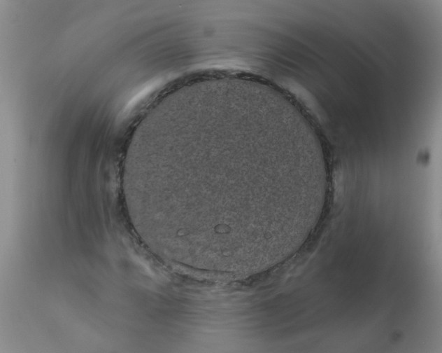 X0000110961064200907022215