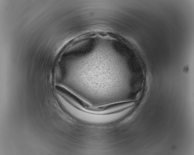 X0000110961065200907022215