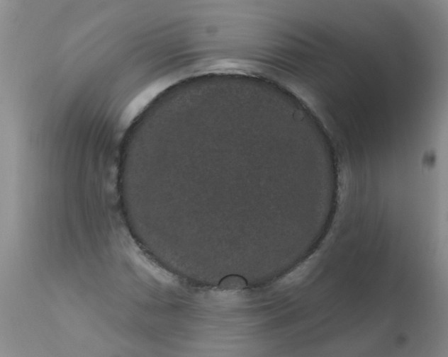 X0000110961066200907022215