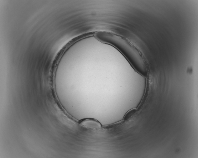 X0000110961068200907022215