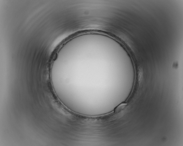 X0000110961069200907022215