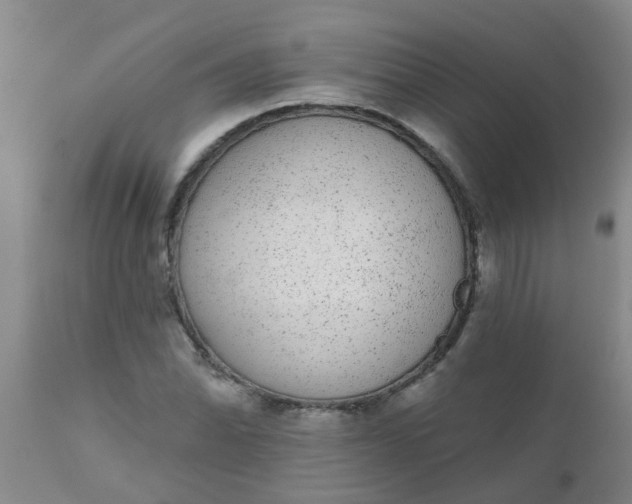 X0000110961070200907022215