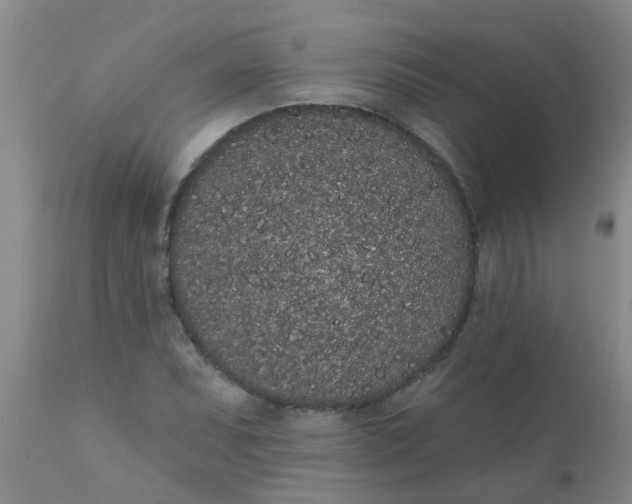 X0000110961071200907022215