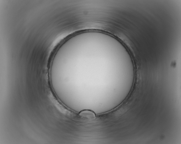 X0000110961072200907022215