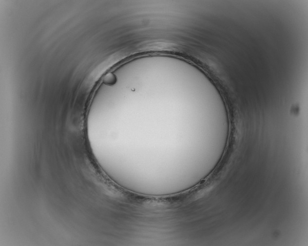 X0000110961073200907022215