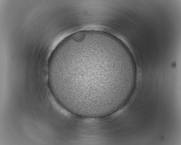 X0000110961075200907022215