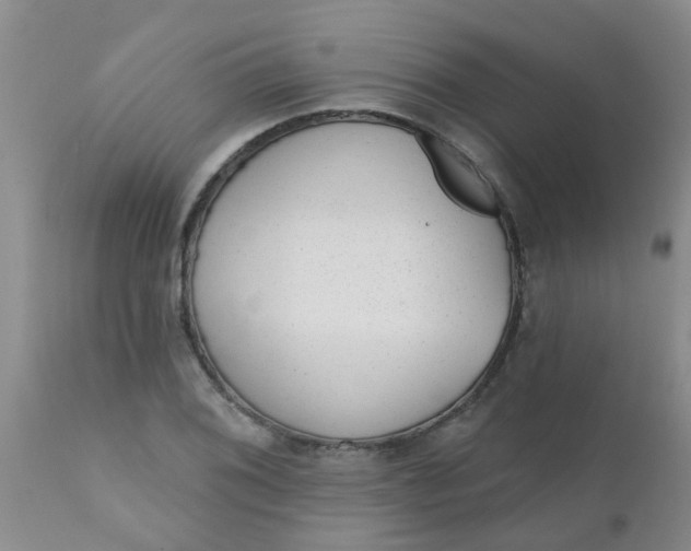 X0000110961076200907022215