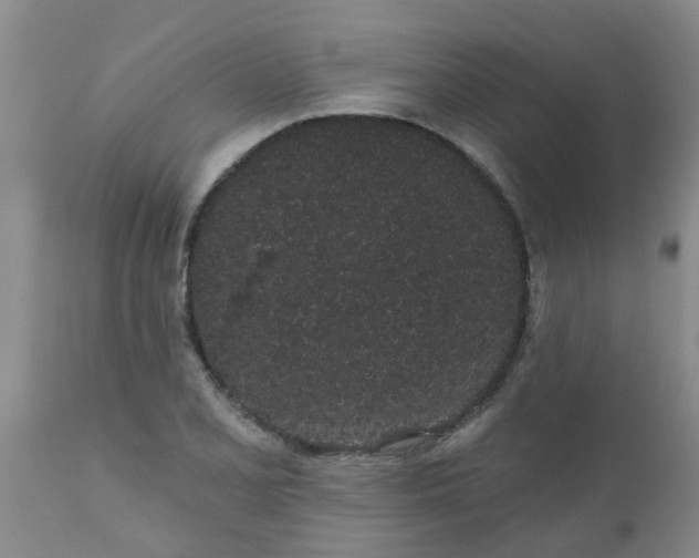 X0000110961077200907022215