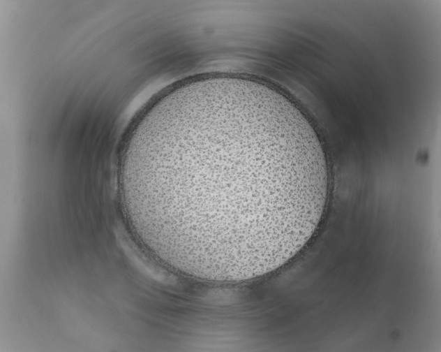 X0000110961078200907022215