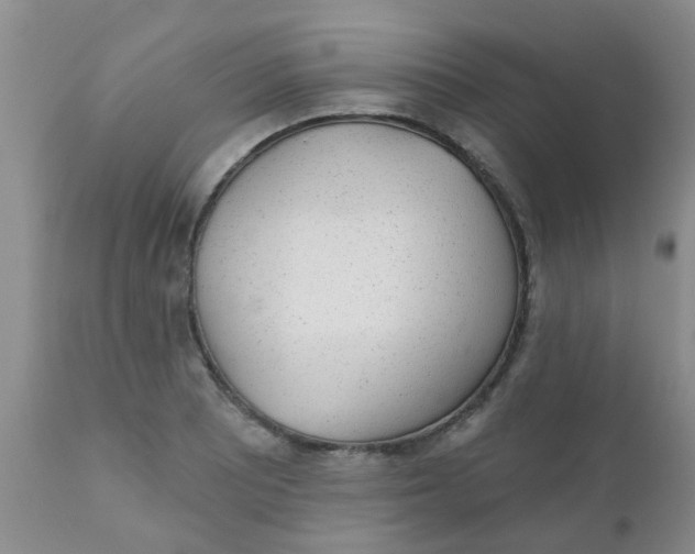 X0000110961081200907022215