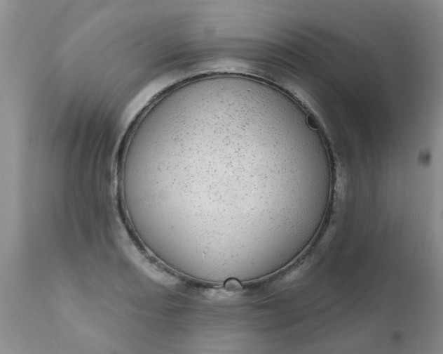 X0000110961082200907022215