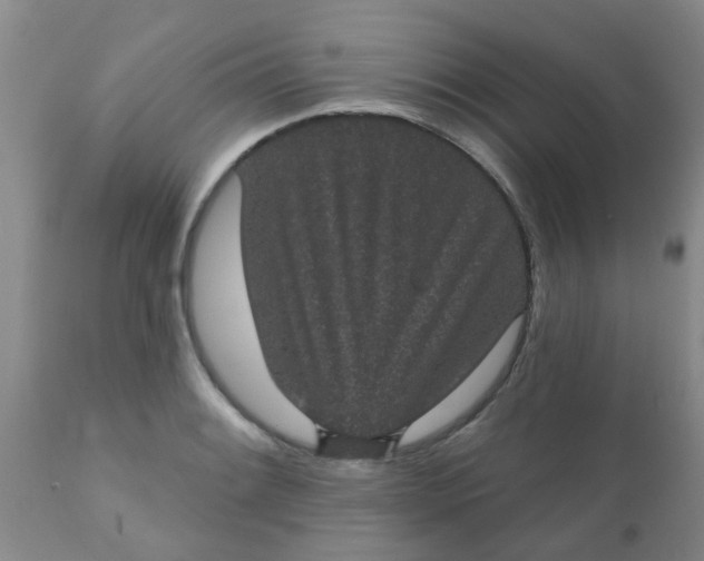 X0000110961084200907022215