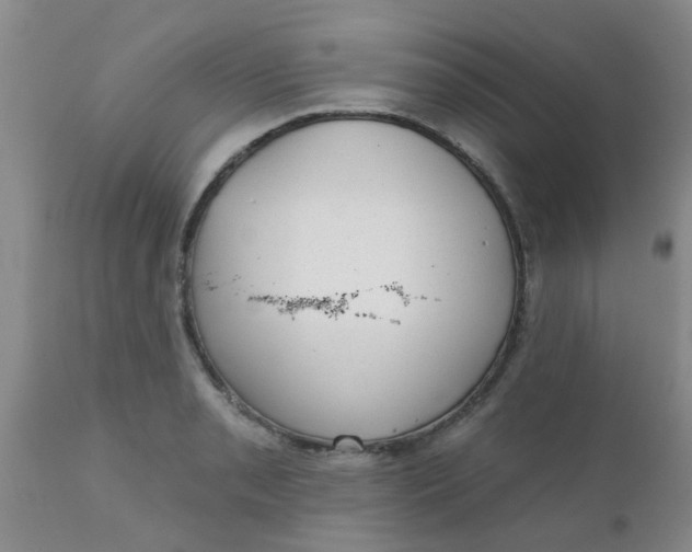 X0000110961085200907022215