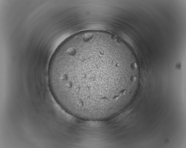 X0000110961087200907022215