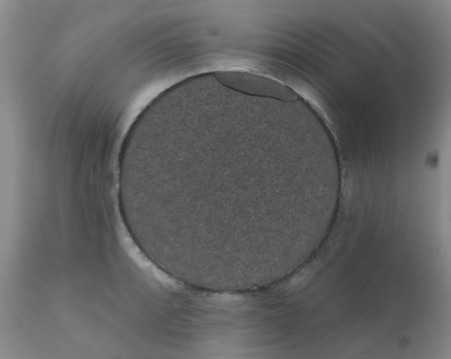 X0000110961088200907022215