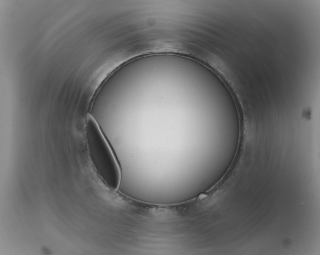 X0000110961089200907022215