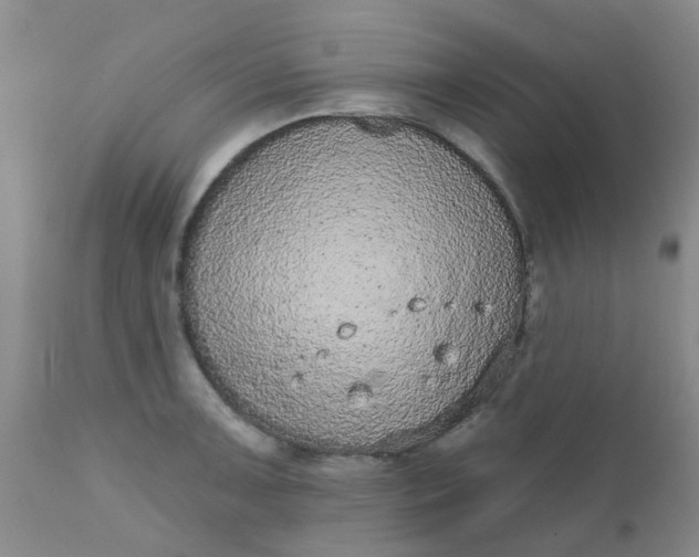 X0000110961091200907022215