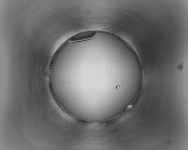 X0000110961093200907022215