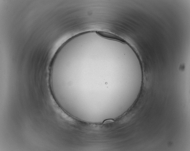 X0000110961096200907022215