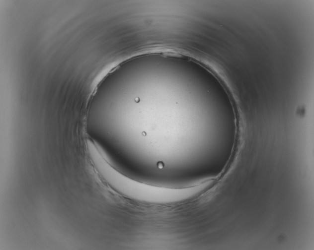 X0000110961097200907022215