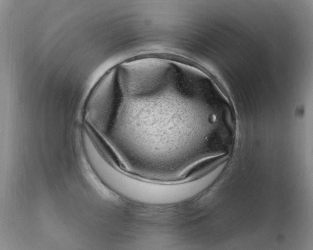 X0000110961098200907022215