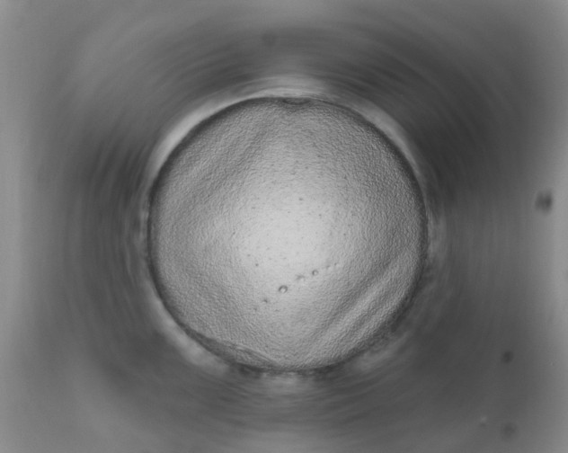 X0000110961099200907022215