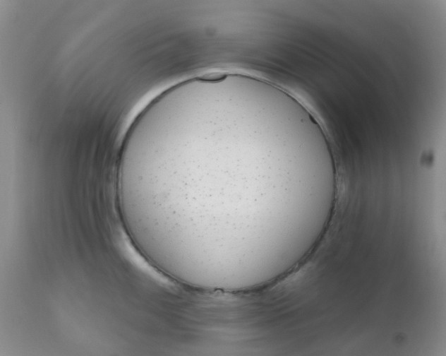 X0000110961100200907022215