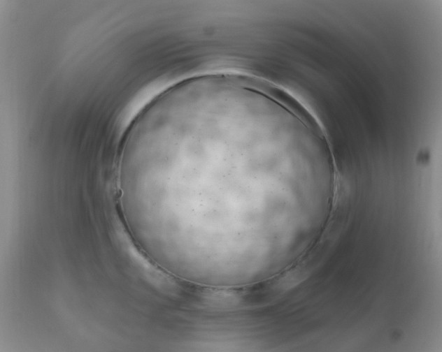 X0000110961101200907022215