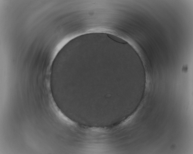 X0000110961102200907022215