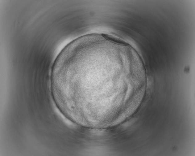 X0000110961103200907022215