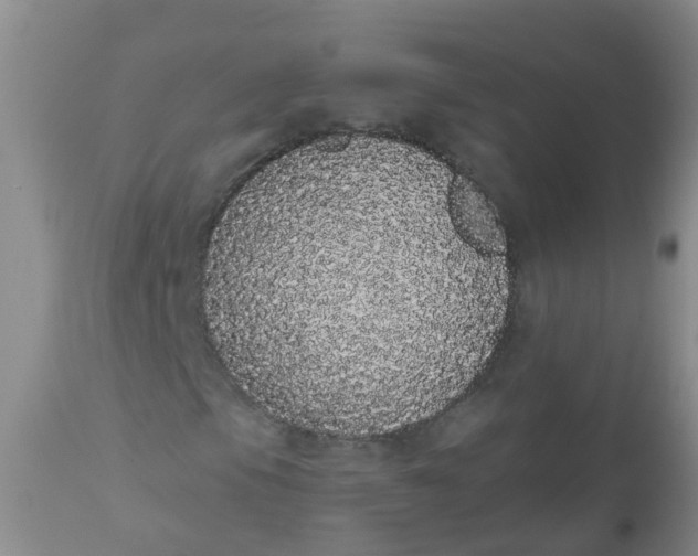 X0000110961105200907022214