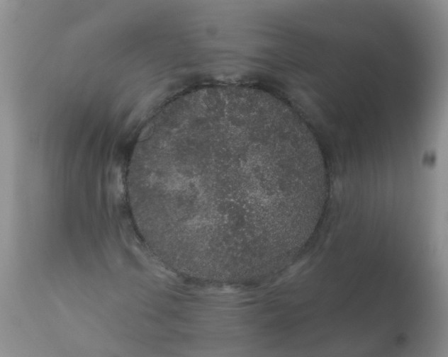 X0000110961106200907022214