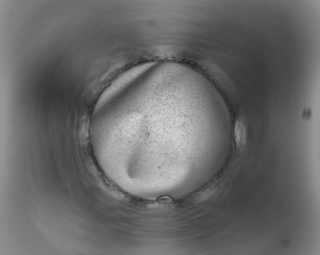 X0000110961107200907022214