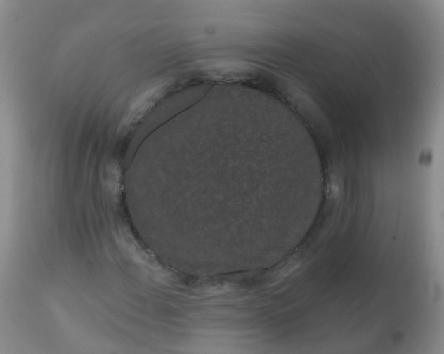 X0000110961108200907022214