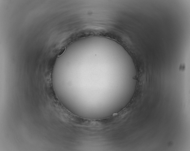 X0000110961109200907022214