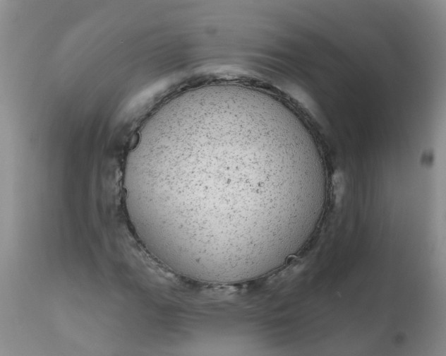 X0000110961111200907022214