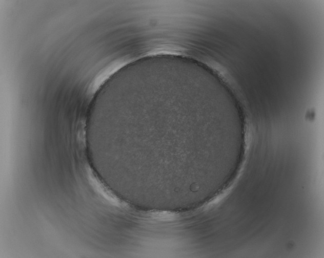 X0000110961113200907022214