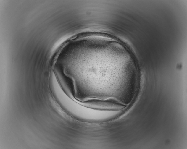 X0000110961114200907022214