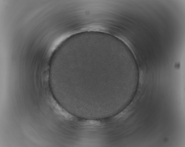 X0000110961115200907022214