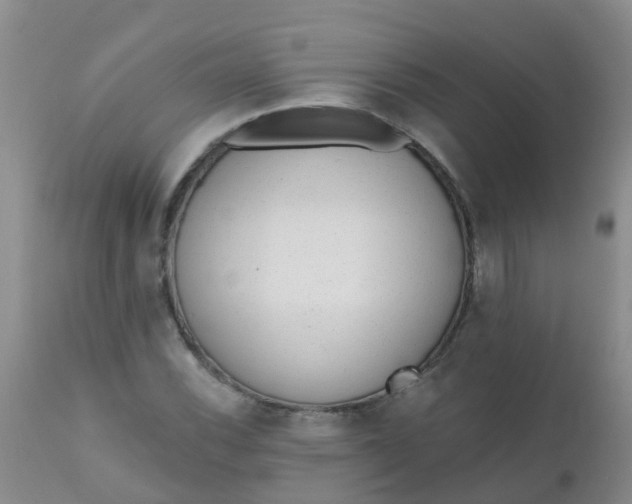 X0000110961116200907022214