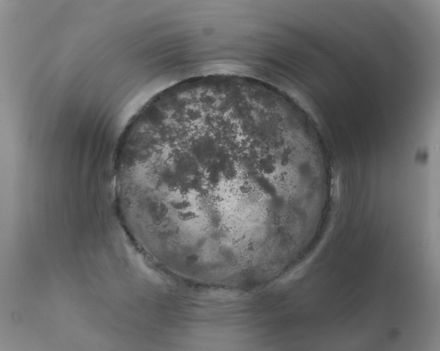 X0000110961117200907022214