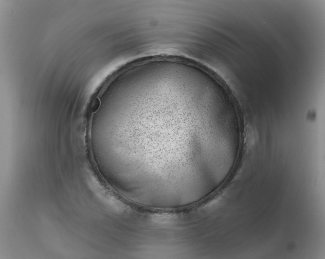 X0000110961118200907022214