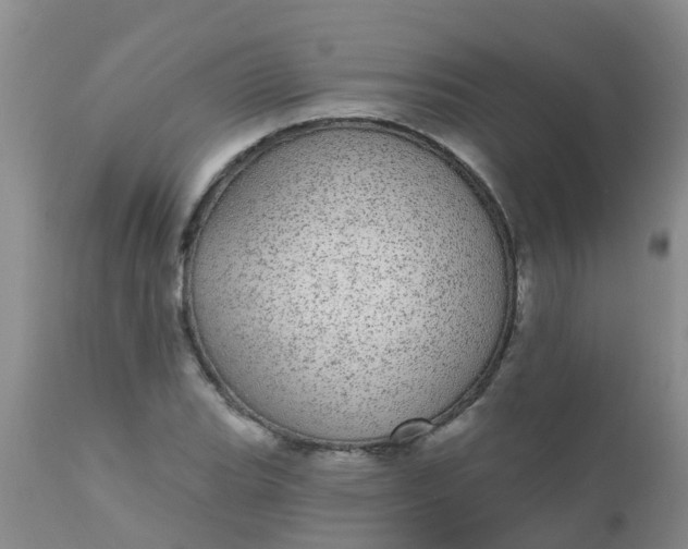 X0000110961119200907022214