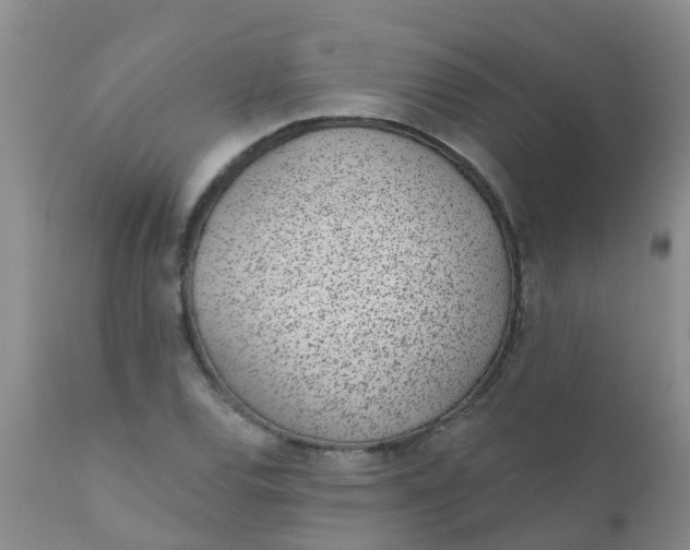 X0000110961120200907022214