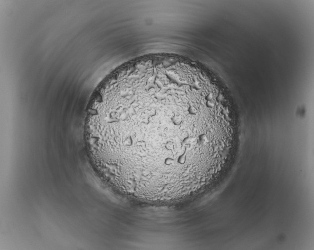 X0000110961121200907022214