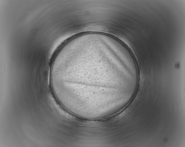 X0000110961123200907022214